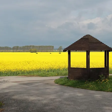 Wiesenblick 1